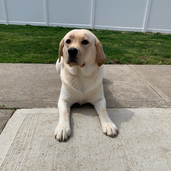 Meet your Posher, Jessica - Picture 1 of 1